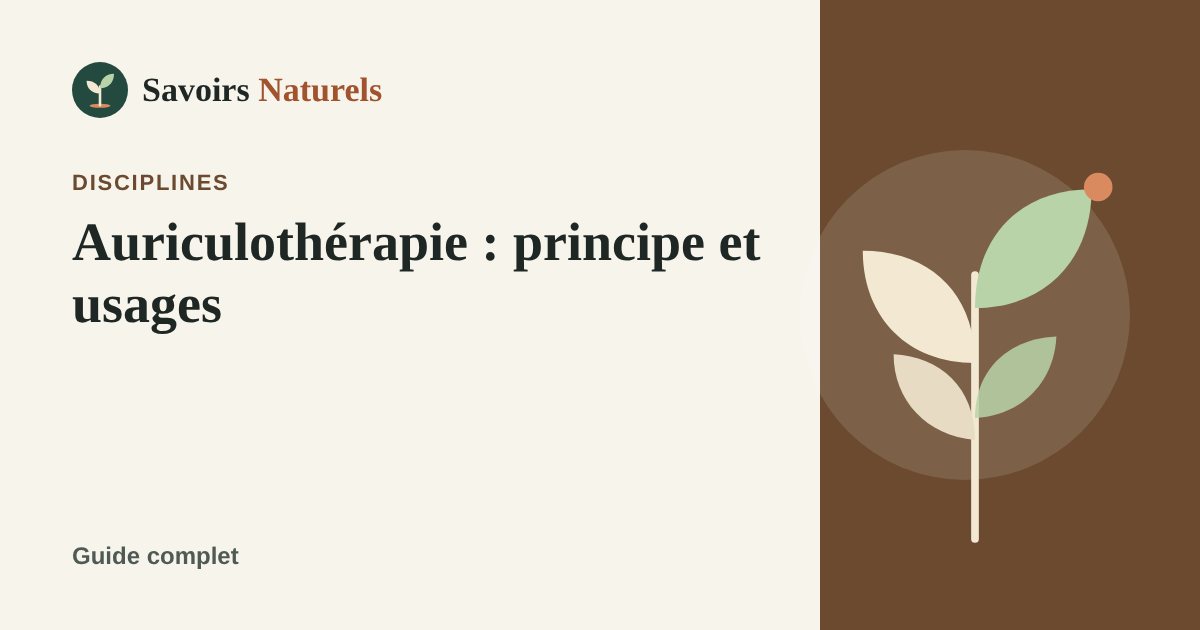 Auriculothérapie : principe et usages — illustration Savoirs Naturels