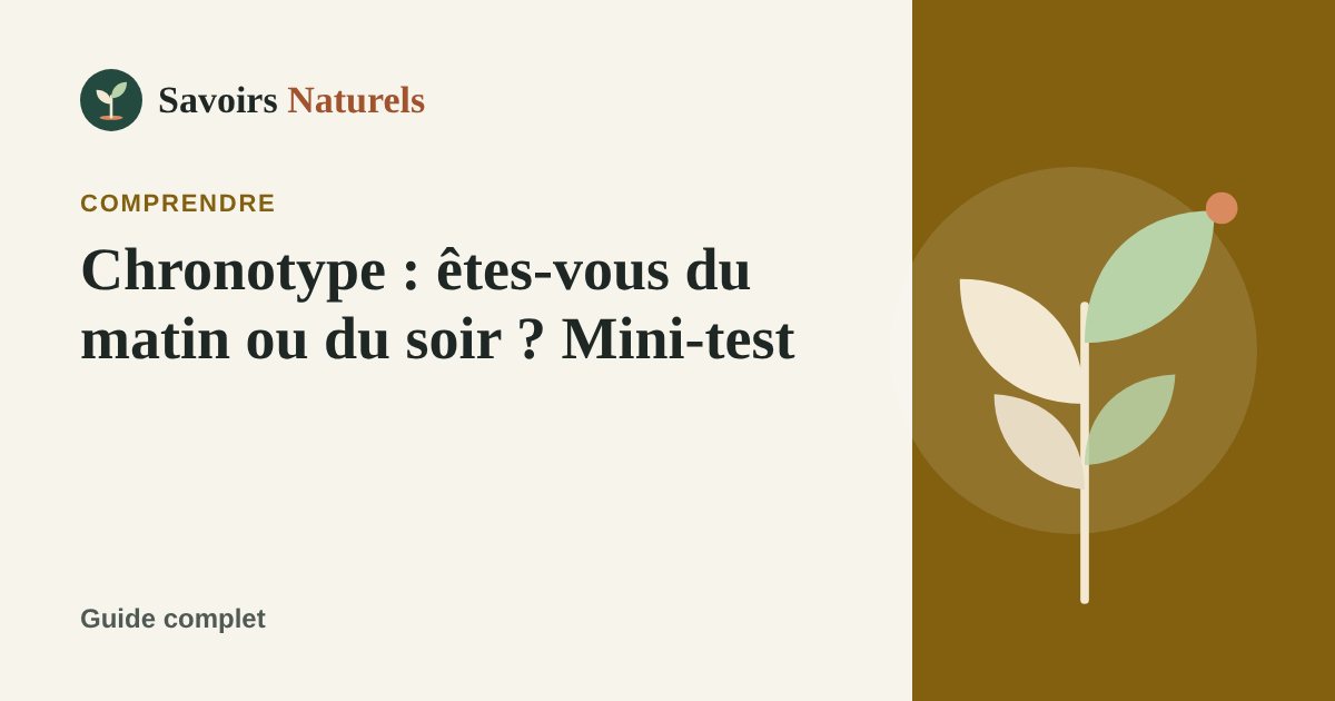Chronotype : êtes-vous du matin ou du soir et comment vous organiser — illustration Savoirs Naturels