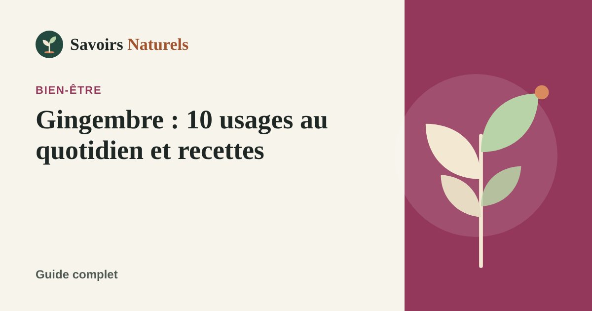 Gingembre : 10 usages au quotidien et recettes — illustration Savoirs Naturels
