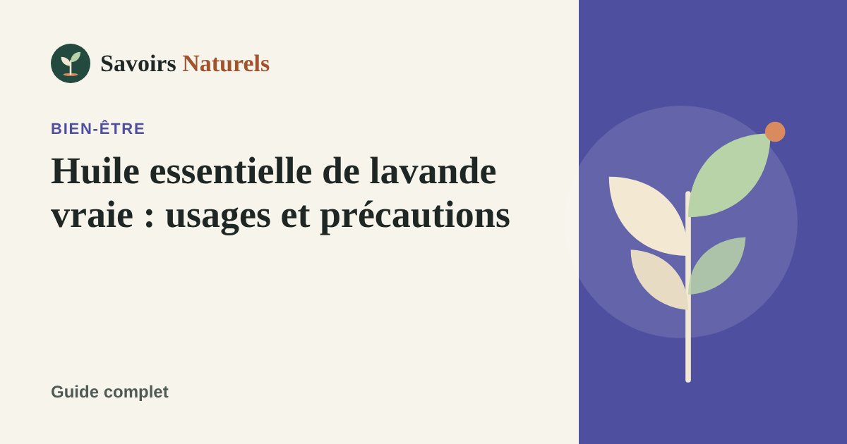 Huile essentielle de lavande vraie : usages, variétés et précautions — illustration Savoirs Naturels