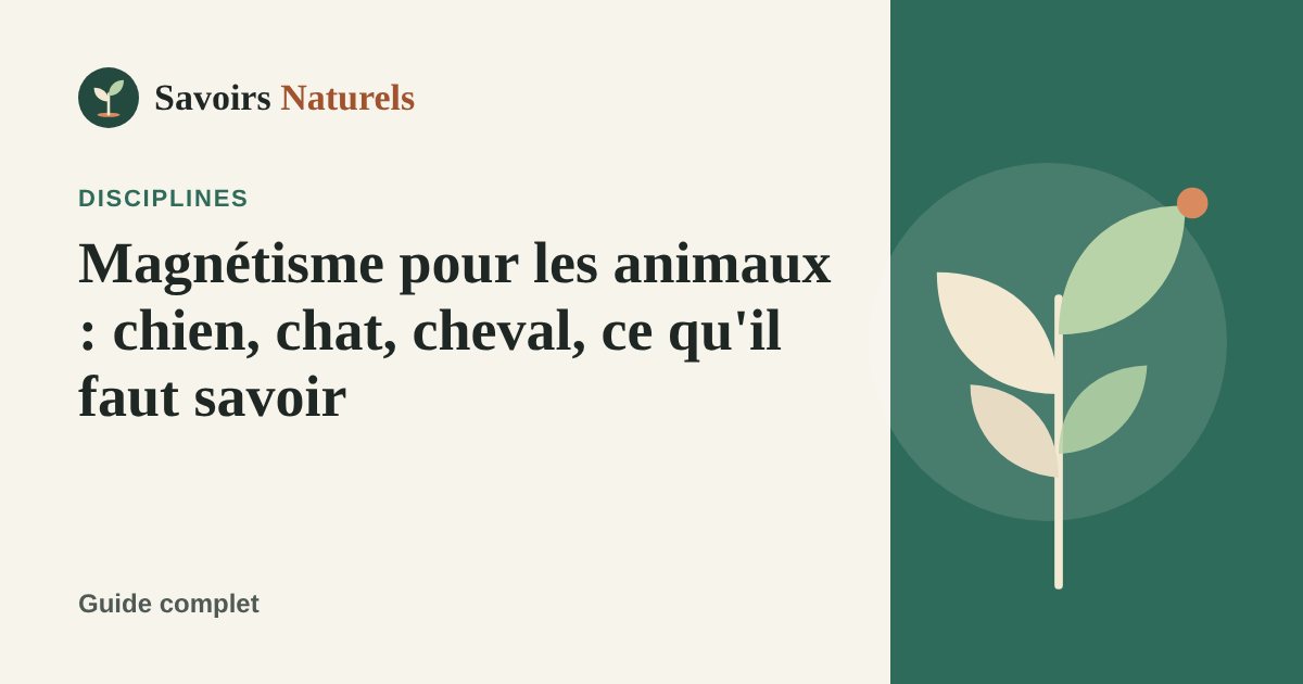 Magnétisme pour les animaux : chien, chat, cheval, ce qu'il faut savoir — illustration Savoirs Naturels