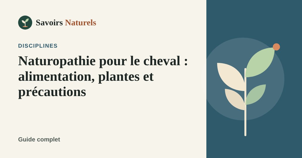 Naturopathie pour le cheval : alimentation, plantes et précautions — illustration Savoirs Naturels