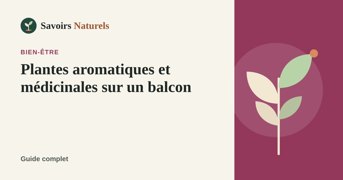 Plantes aromatiques et médicinales sur un balcon : guide de culture — illustration Savoirs Naturels