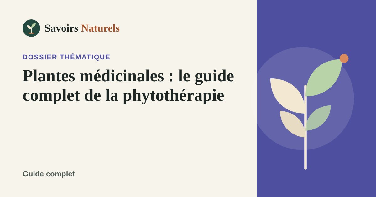 Plantes médicinales : le guide complet de la phytothérapie — dossier Savoirs Naturels