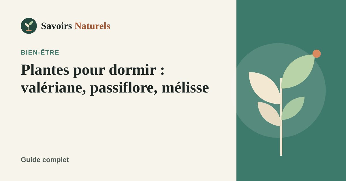 Plantes pour dormir : valériane, passiflore, mélisse, que choisir ? — illustration Savoirs Naturels