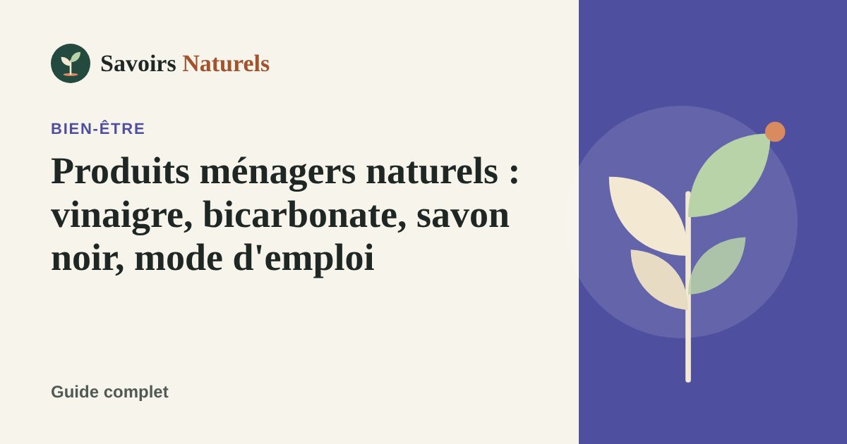 Produits ménagers naturels : vinaigre, bicarbonate, savon noir, mode d'emploi — illustration Savoirs Naturels