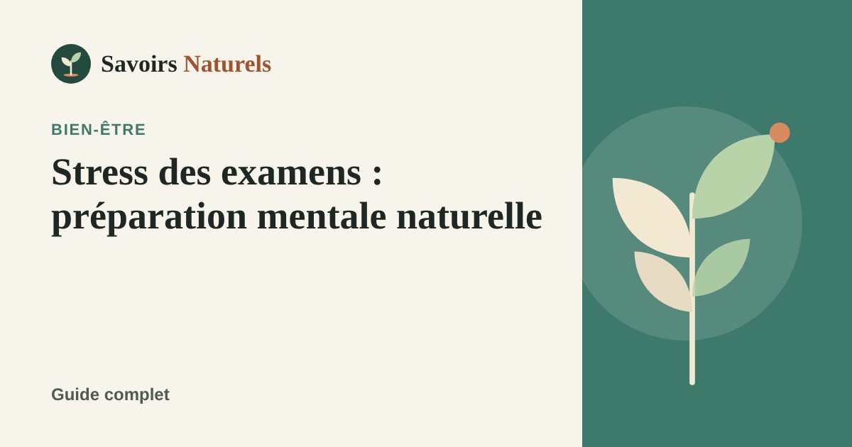 Stress des examens : préparation mentale naturelle pour étudiants — illustration Savoirs Naturels