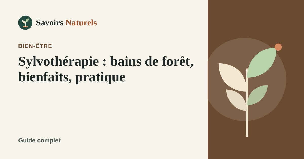 Sylvothérapie : bains de forêt, bienfaits et comment pratiquer — illustration Savoirs Naturels